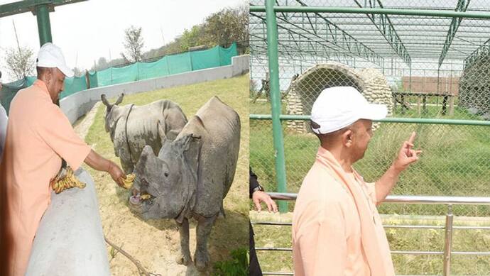 गोरखपुर चिड़ियाघर में व्यवस्थाओं का जायजा लेने पहुंचे CM योगी, असम से आए नए मेहमान 'हर और गौरी' से की मुलाकात