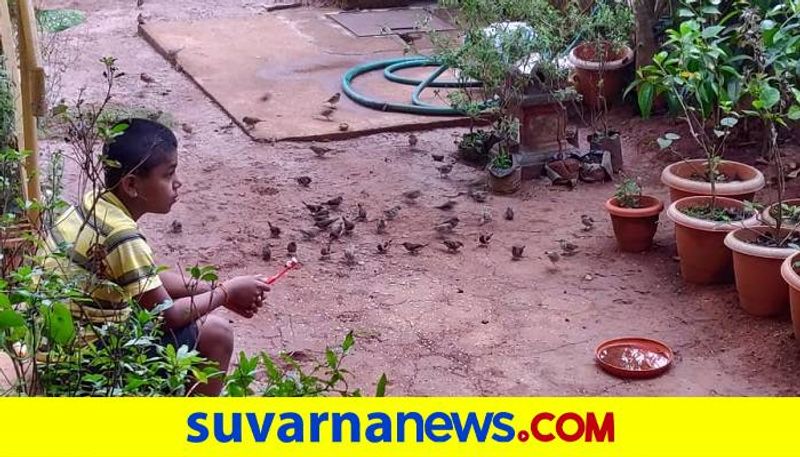 Shivaprasads Family Who Given Shelter to Sparrows in Chikkamagaluru grg 