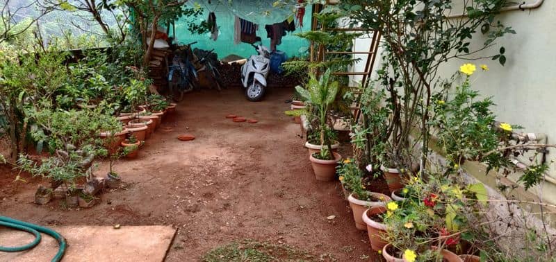 Shivaprasads Family Who Given Shelter to Sparrows in Chikkamagaluru grg 