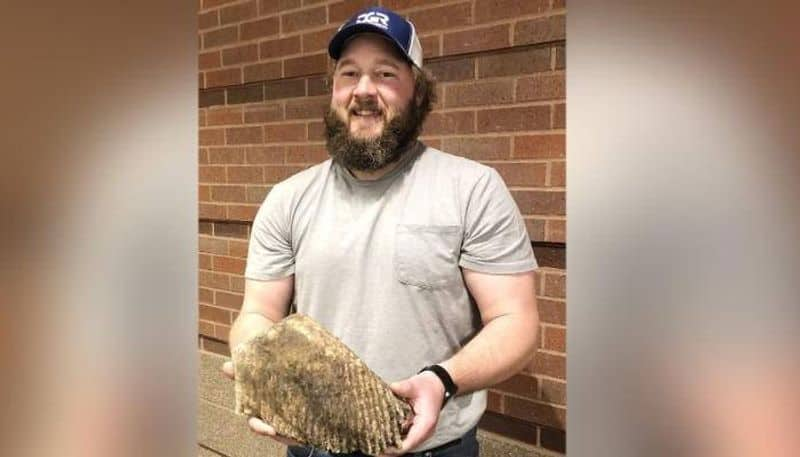 20000 year old mammoth tooth found