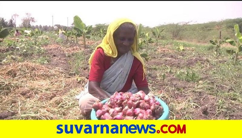 Price Down Onion Bring Tears to Chamarajanagar Farmers rbj