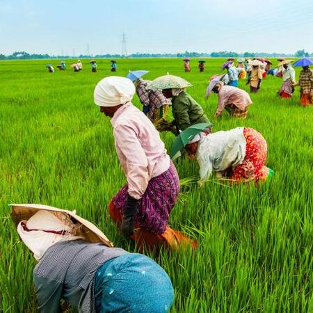 Telugu news live updates: తెలుగు రైతులకు గుడ్ న్యూస్ - మీ భూమిలో రసాయనాలు లేకుండా ఆర్గానిక్ గా మార్చే సరికొత్త టెక్నాలజీ