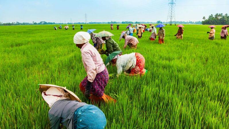 agriculture