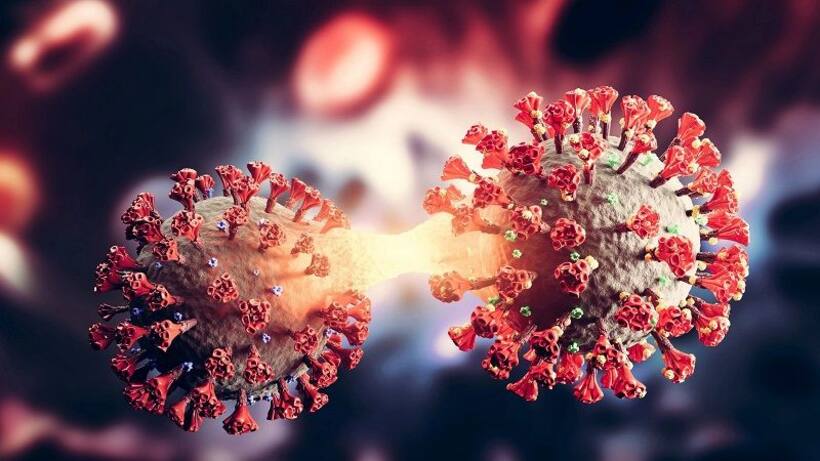 Coronavirus: యూఎస్‌లో ఒమిక్రాన్ బీఏ.2 వేరియంట్ పంజా.. డ‌బ్ల్యూహెచ్‌వో, ప్ర‌పంచ దేశాల ఆందోళ‌న‌.. !