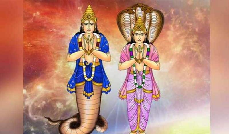 Lal Kitab remedies for Shani Rahu & Ketu dosha skr