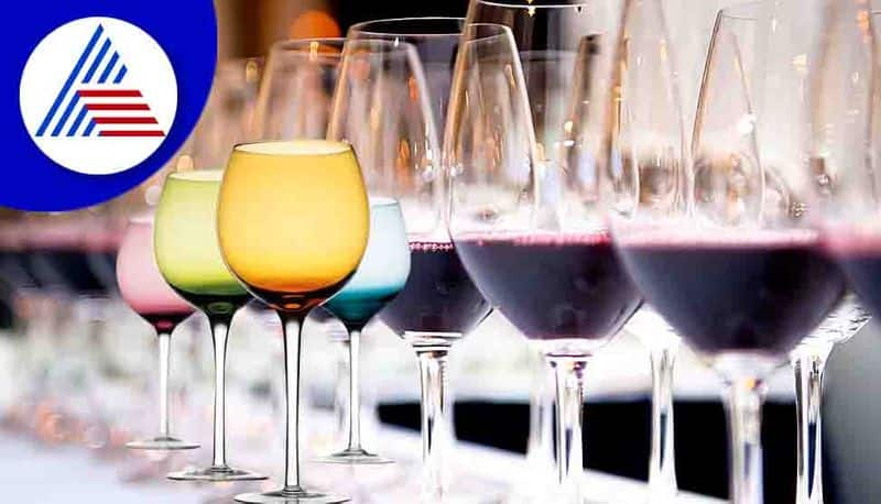 What Are The Different Types Of Wine, Know The Specialities  Vin