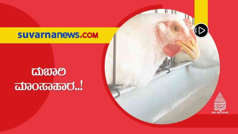 Chicken Brings Smile in Poultry  Owners Face Customers Face the Heat hls 