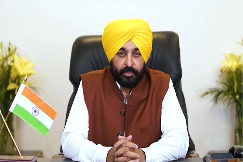 Punjab CM Bhagwant Mann seeks high-level probe in California Sikh family murder case - adt 