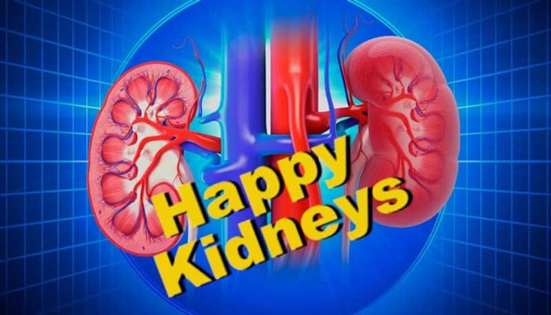 Want to keep your kidney happy? Here are some tips you should follow now RBA