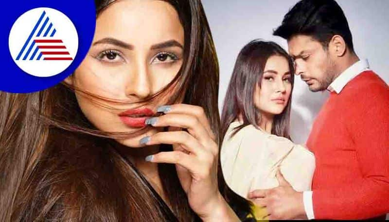 Shehnaaz Gill talks about her love life post-Sidharth Shukla's demise, says 'will never get married' RBA