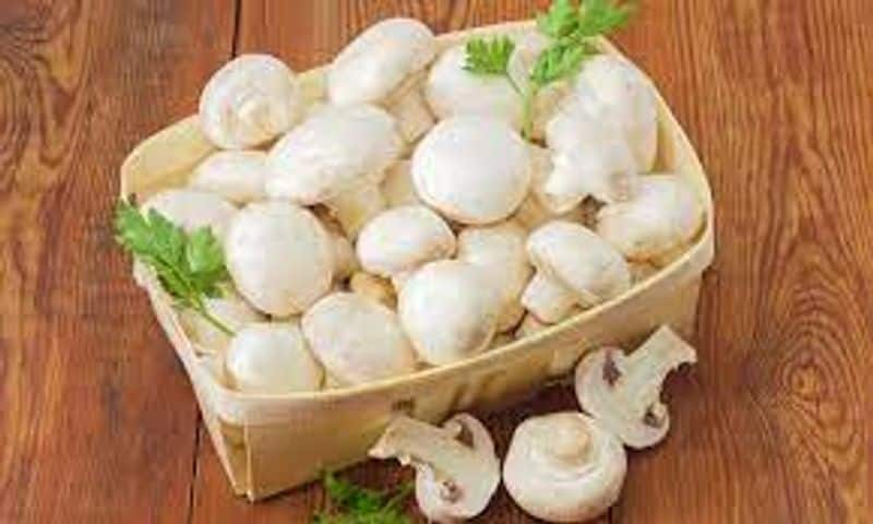 add different types of mushrooms in your diet to overcome hormonal imbalance rsl