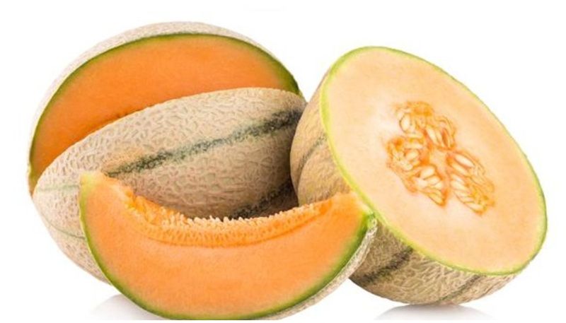 incredible health benefits of muskmelon in tamil mks