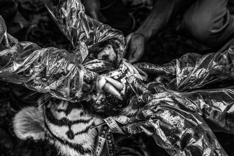 World Press Photo Awards 2022-  Long term documentary story category