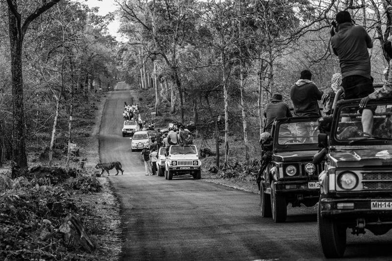 World Press Photo Awards 2022-  Long term documentary story category