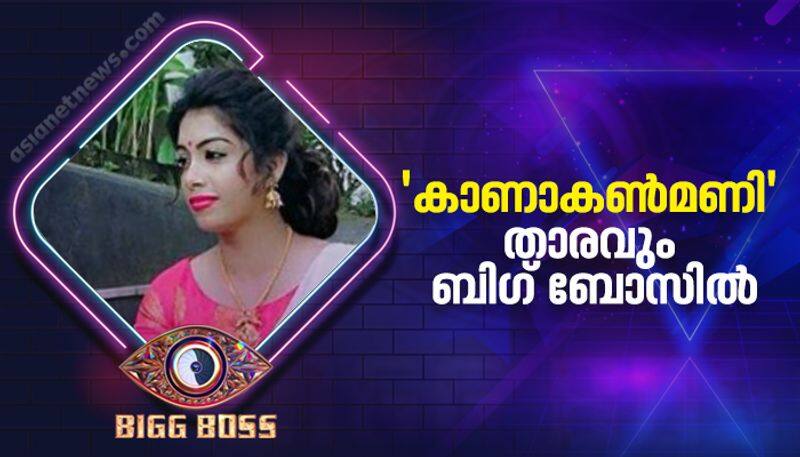 Bigg Boss Malayalam Season 4 contestant Dilsha Prasannan profile