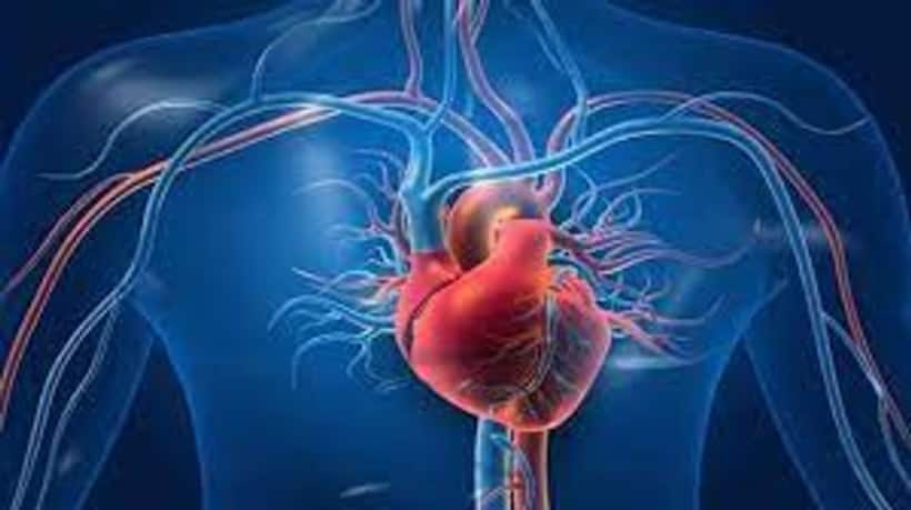 Chinese surgeons executing death row prisoners by removing hearts, claims study