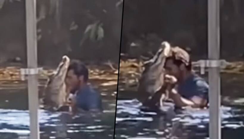 Watch: Man's grooves with an Alligator; stuns netizens