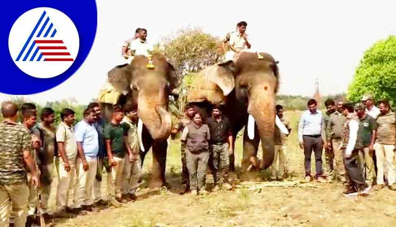 Wild Elephant Menace in Chikkamagaluru gow