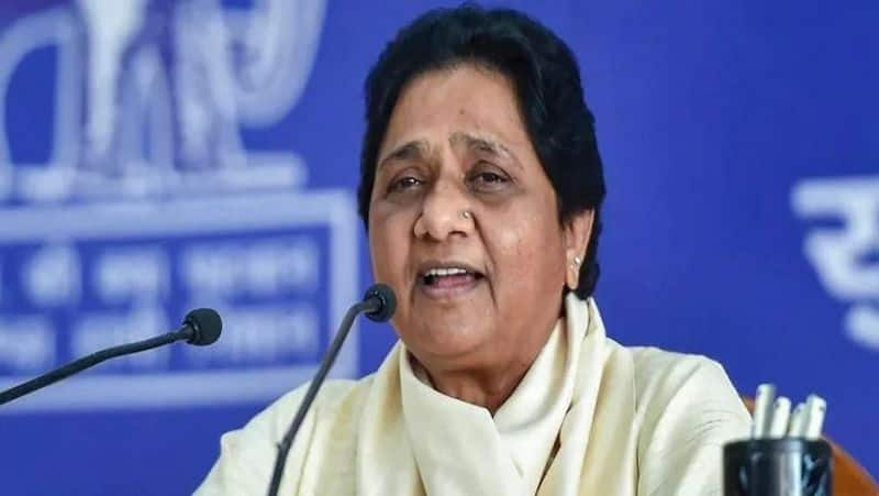 Mayawati Biography, Real Life Story, Age, Education, Wife, Political Career, Caste & More KRJ