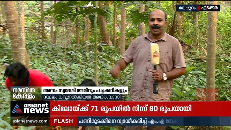 A native of Assam farms at 8 cents land in Malappuram