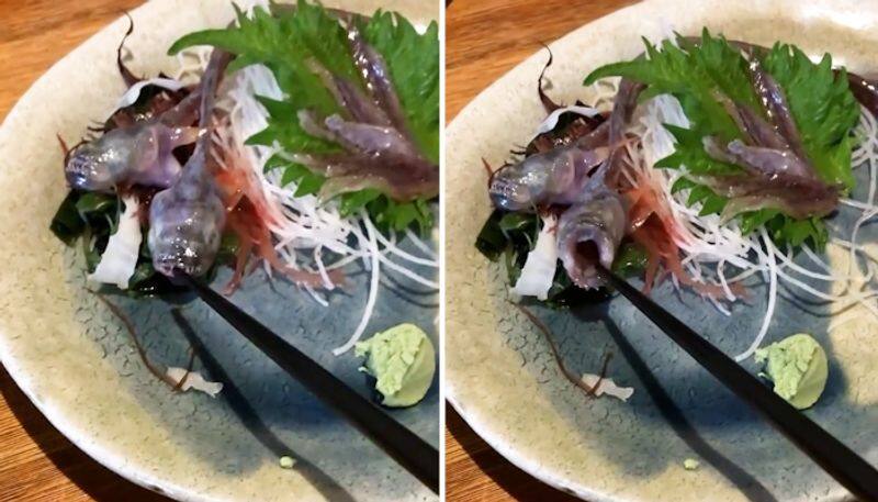 Watch Man got stunned after fish on his plate was alive and bit chopstick-tgy