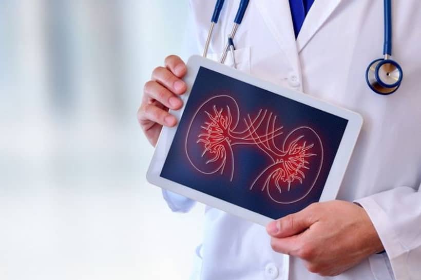 Having Kidney issues? Here are some early signs and symptoms to control kidney problems