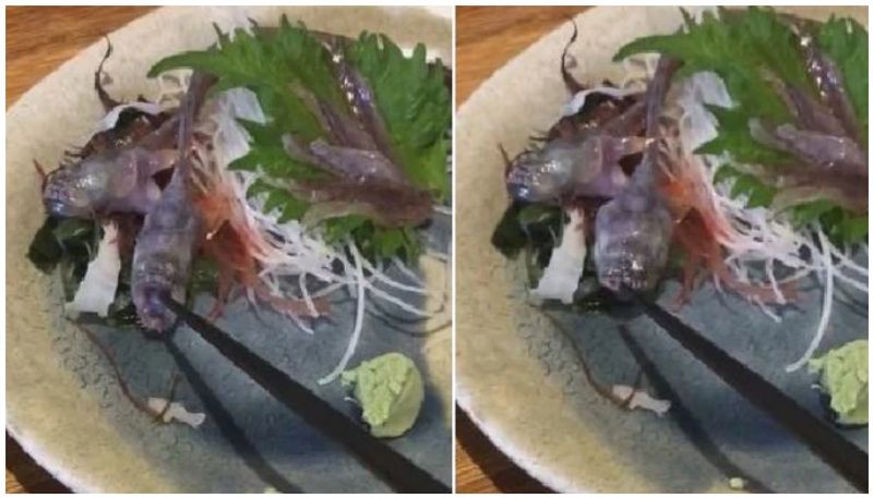 Raw Fish Served At Japanese Restaurant Comes Alive On The Plate