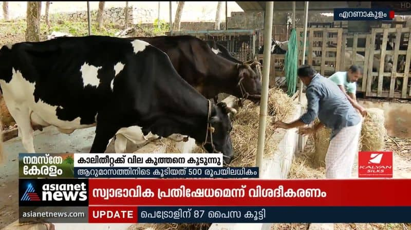 Fodder prices rise sharply; More than 500 rupees in 6 months!