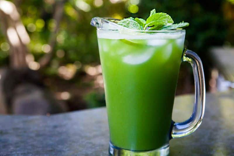 Cucumber Mint Cooler Recipe For Refreshing Summer