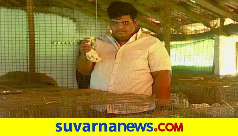 Young Man Ajay Successful in Guinea Pig Farm Business in Kolar grg