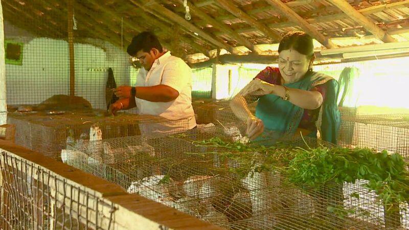 Young Man Ajay Successful in Guinea Pig Farm Business in Kolar grg