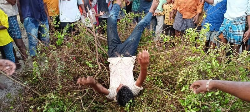 A special celebration of koppal by devotees jumping over the heap of thorns rbj