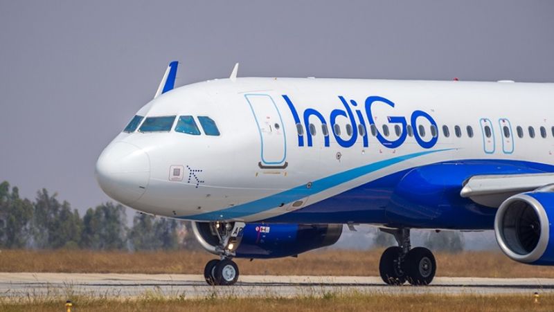 IndiGo domestic flights delayed as crew call sick on Air India recruitment day