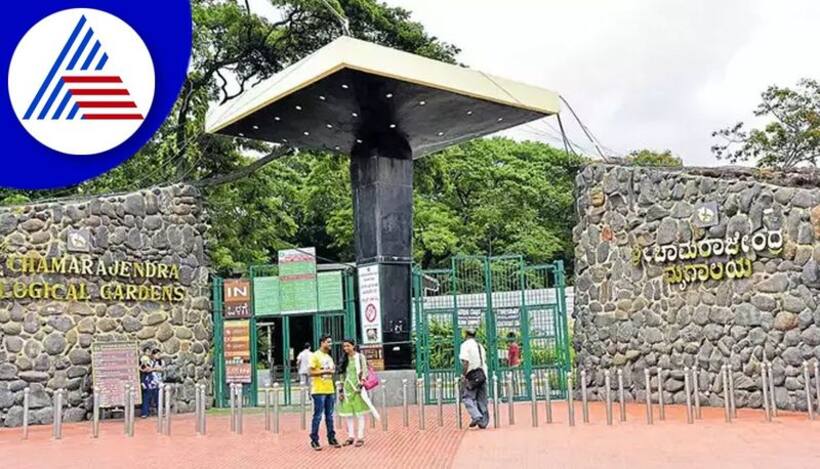 Christmas rush in Karnataka: Over 40,000 tourists visited Mysuru Zoo during festive season