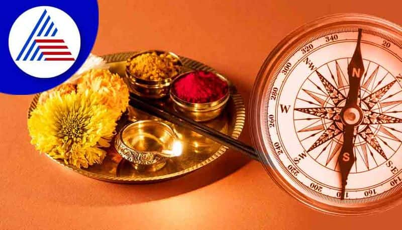 Vastu Shastra Tips For Dry Flower