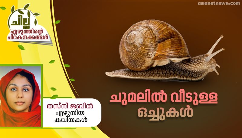 chilla malayalam poems by Thansi Jabeel 