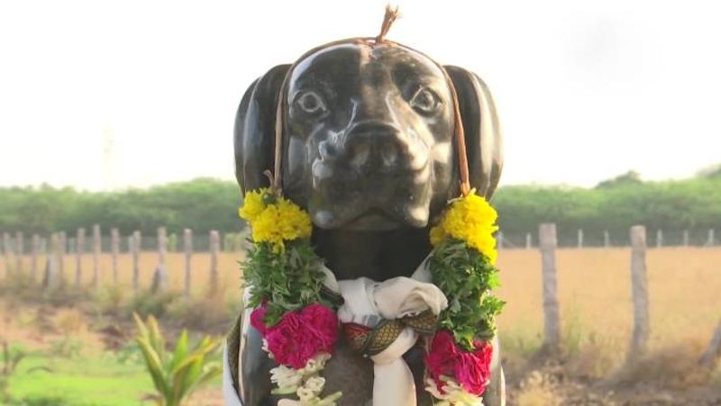 TN 82 yo man built statue of his dog Tom in Sivagangas Manamadurai