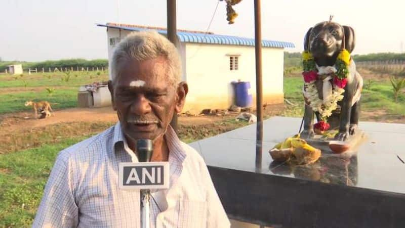 TN 82 yo man built statue of his dog Tom in Sivagangas Manamadurai