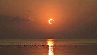 Solar Eclipse 2022: Dos and Don'ts every expecting woman should follow during Surya Grahan
