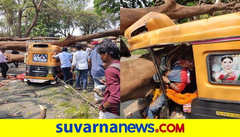 woman dies and 5 inquired after tree falls on running auto rickshaw at vijayapura rbj