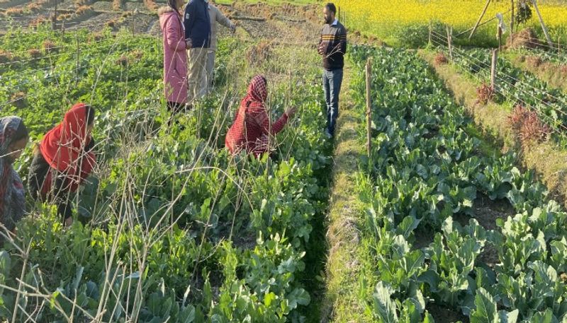 Himachal Pradesh Women farmers are Scripting Success Stories in Sustainable Farming