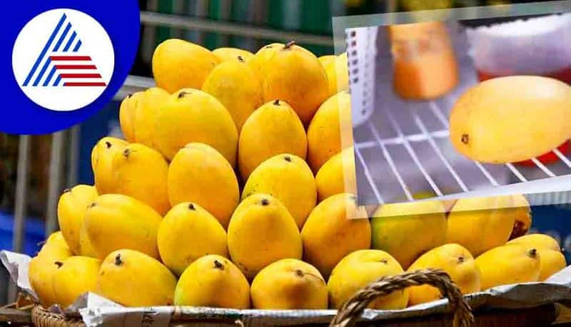 Is it safe to keep mangos in fridge 