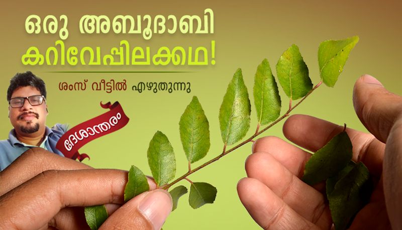 deshantharam journey of some curry leaves from Kerala to Abu Dhabi 