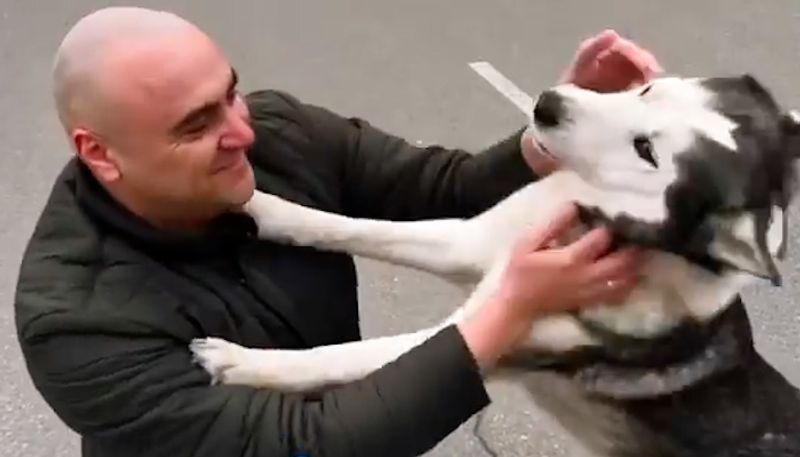 Watch Dog crying after reuniting with its owner in war-torn Ukraine; leaves netizens emotional-tgy