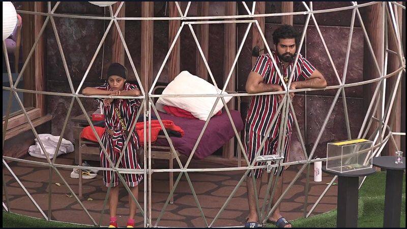 Bigg Boss S4  second week review