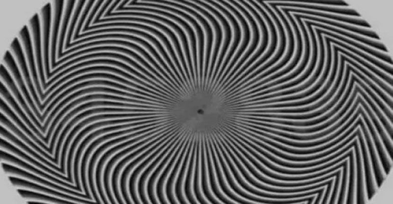 Mind bending optical illusion hides a secret inside a swirl 