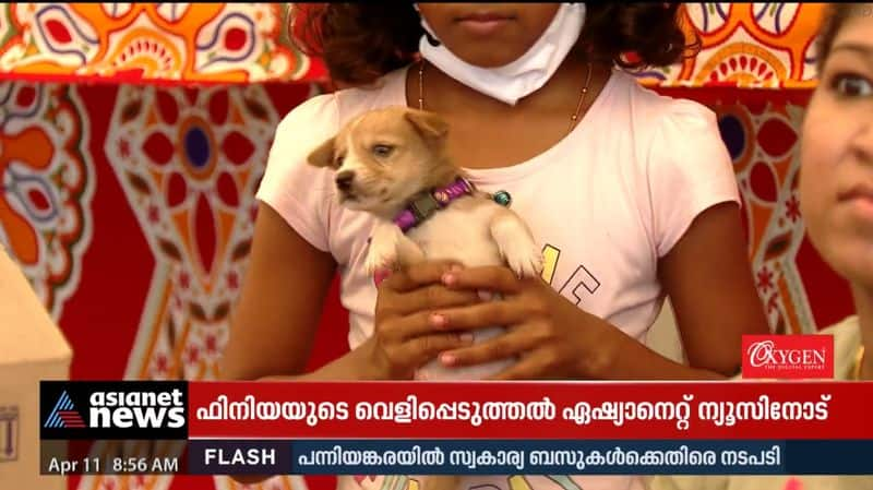 Adoption camp for street animal rehabilitation