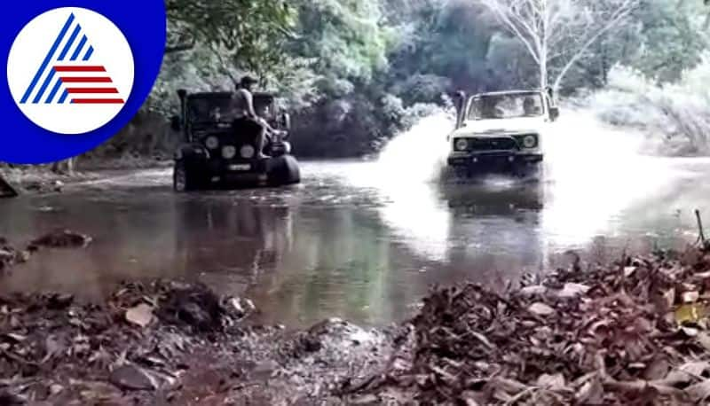 Youths fun at bhadra wildlife sanctuary in chikkamagaluru gvd