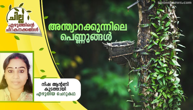 chilla malayalam short story by Nisha Antony Koodathay 