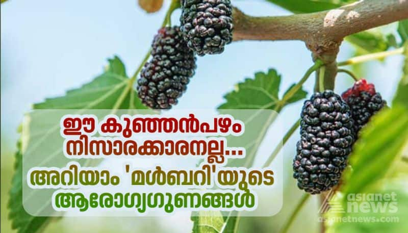 Health Benefits of  eating Mulberries